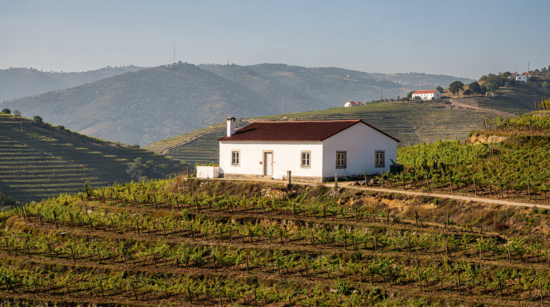 The best Douro quintas we visited: an honest shortlist