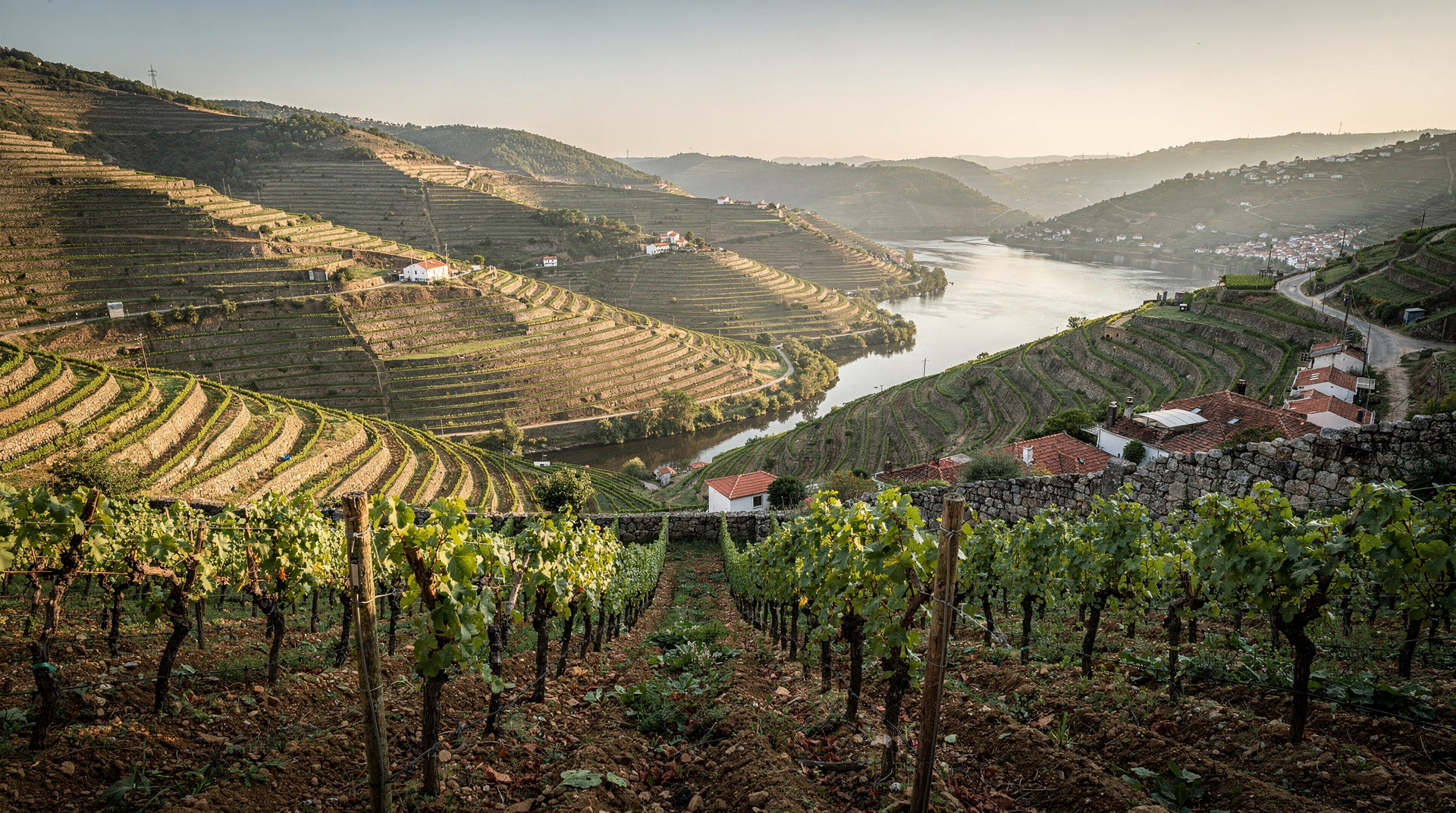 Is the Douro Valley tour worth it? Yes — but not all of them