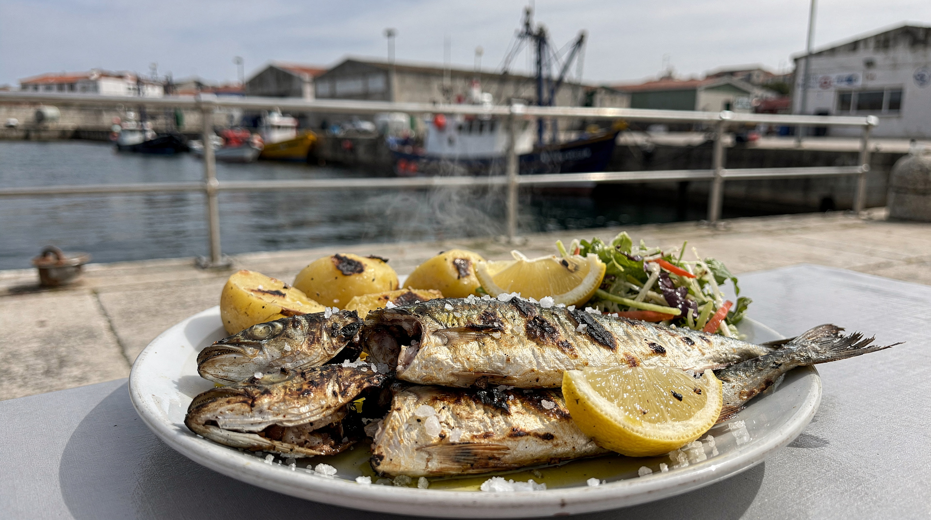 Matosinhos seafood pilgrimage: what we ordered and what it cost — Matosinhos is 30 minutes from Porto by metro and has the best grilled fish in th