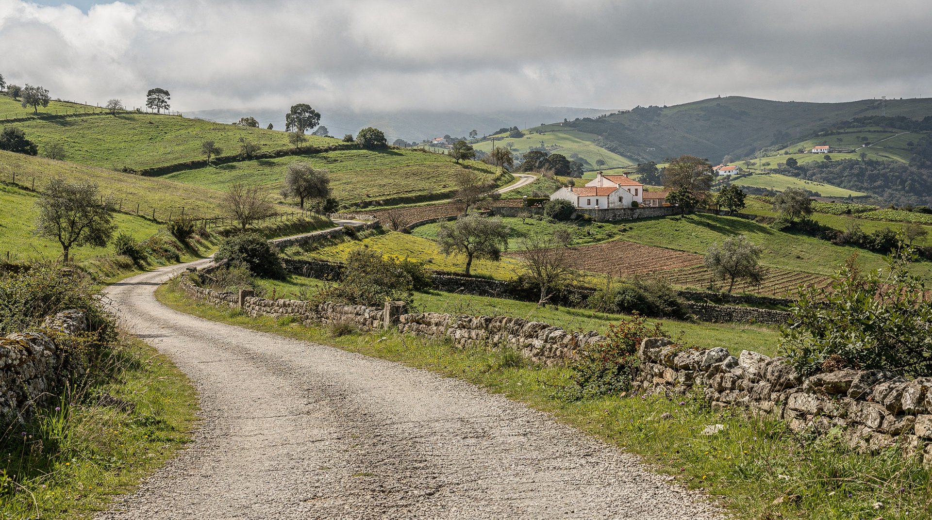 Porto: From Porto Braga and Guimaraes Full Day Trip