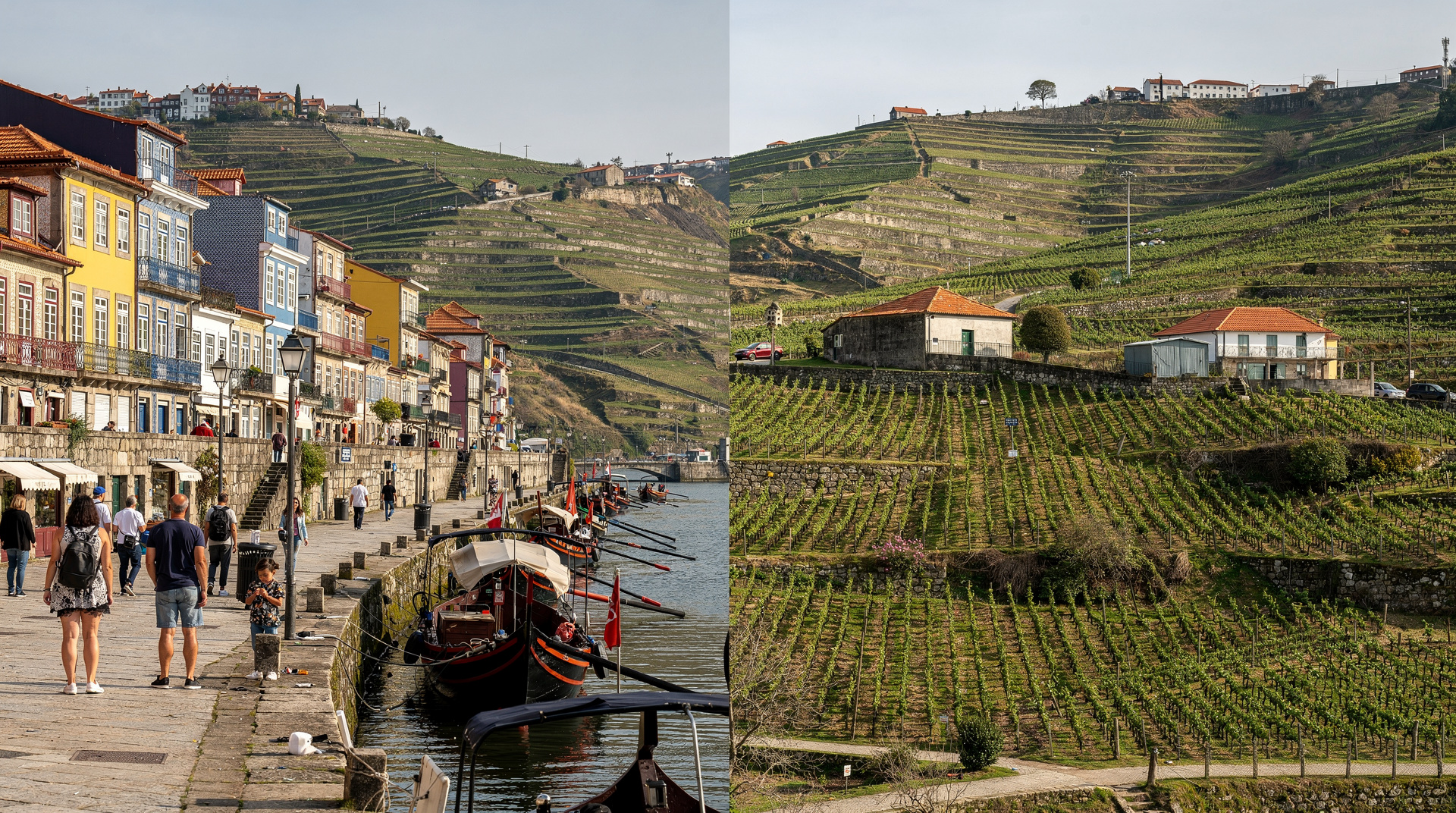 Porto and the Douro in 3 days — city and valley combined — 3 days — moderate — mid-range